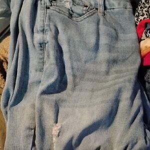 Terra & Sky Light Blue Skinny Jeans